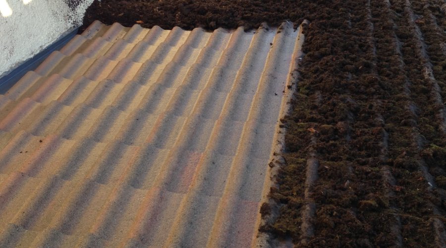 Entretien et nettoyage de toiture près de Ramatuelle